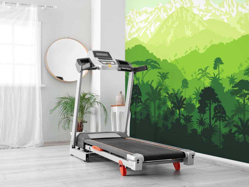 Arbres de la jungle et hautes montagnes