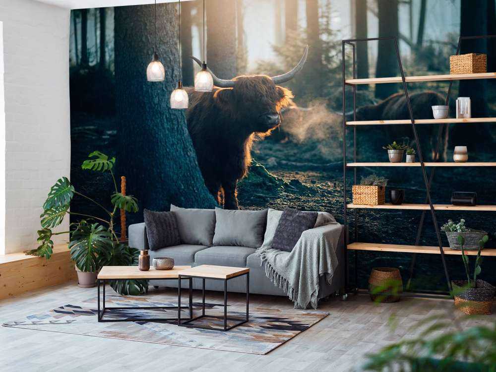 Le Highlander écossais au lever du soleil