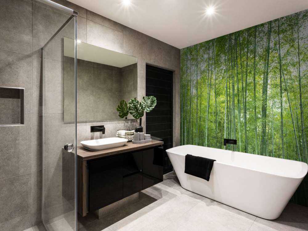 Forêt de bambous verts