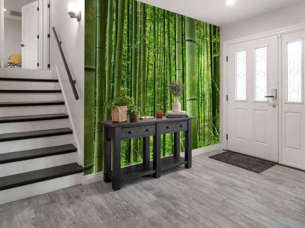 Au milieu de la forêt de bambous