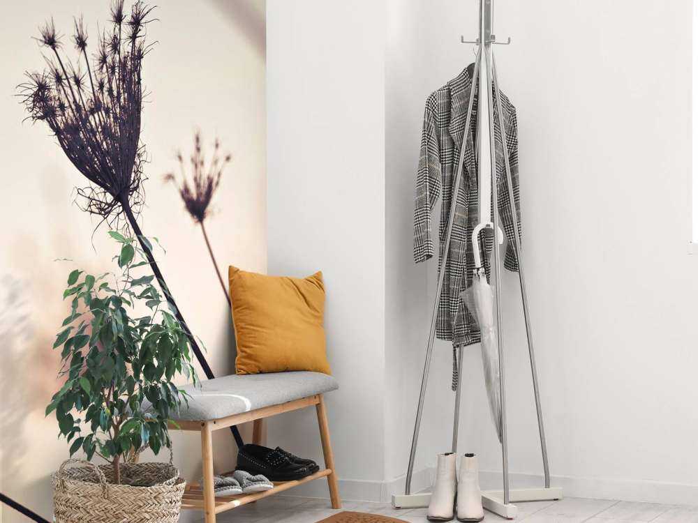 Reflet de plantes