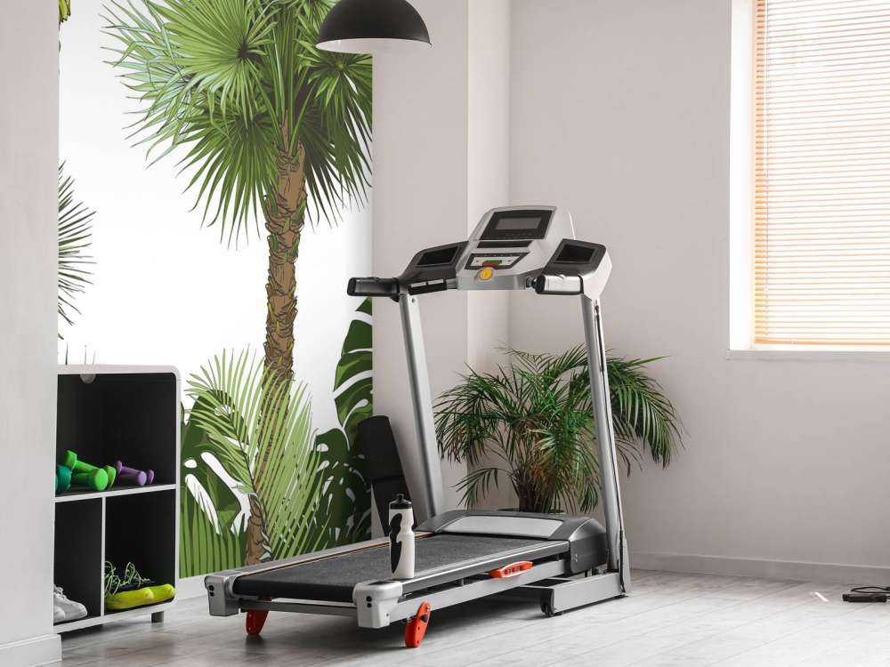 Plantes tropicales vertes