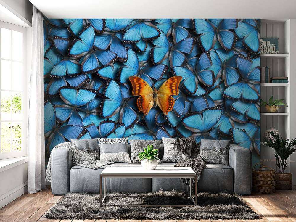 Composition du papillon