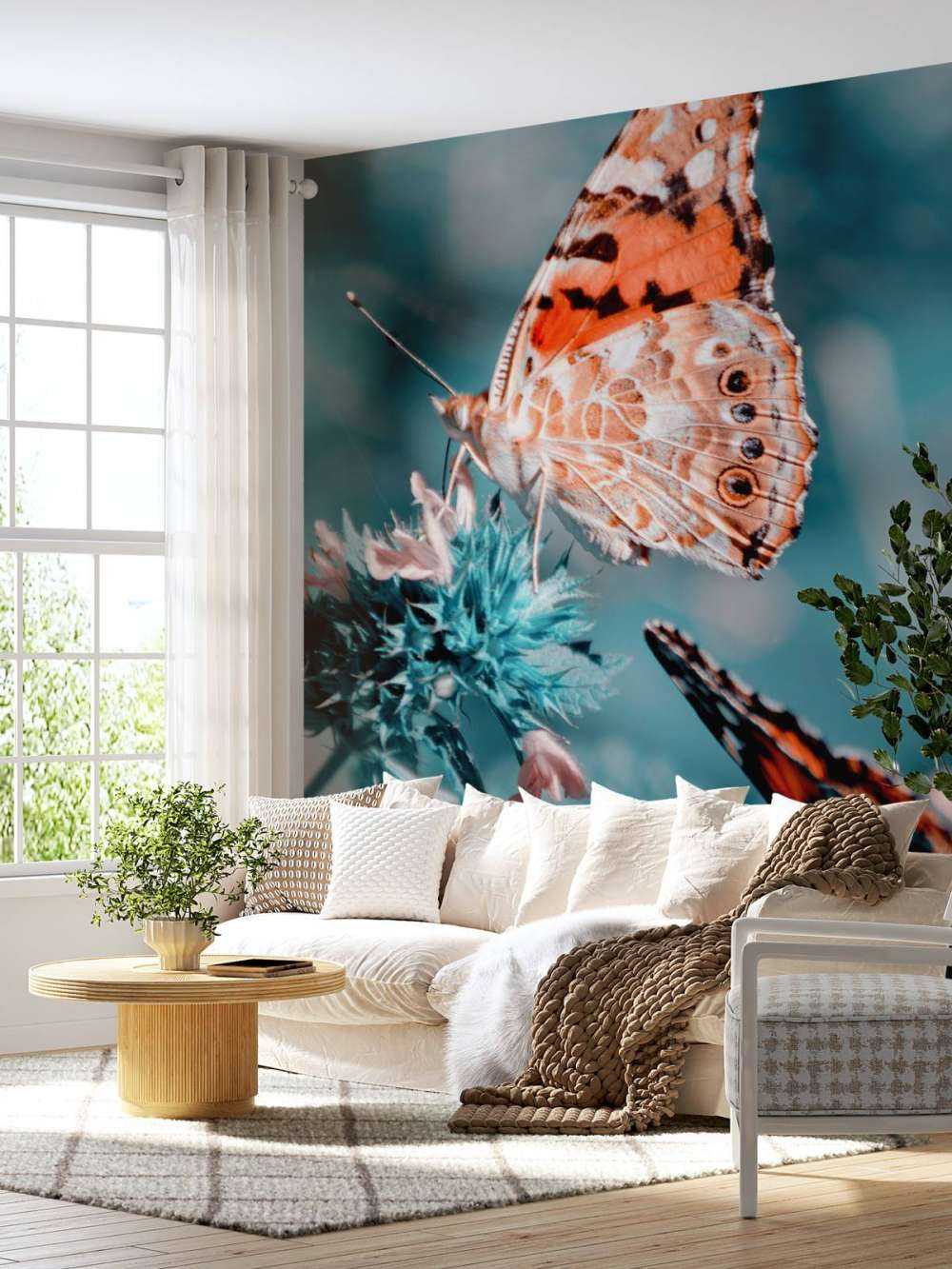 Les papillons de l'orange