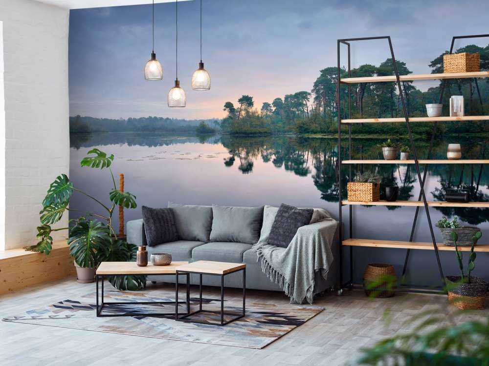 Reflets de la forêt dans l'eau au soleil levant