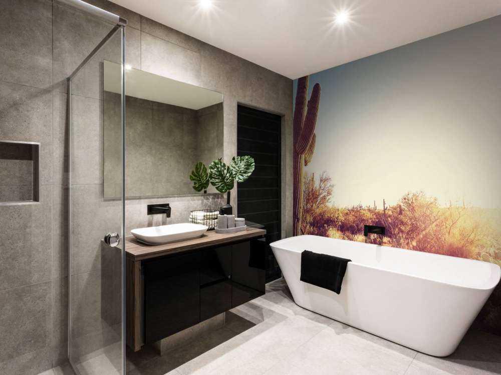 Cactus dans le désert