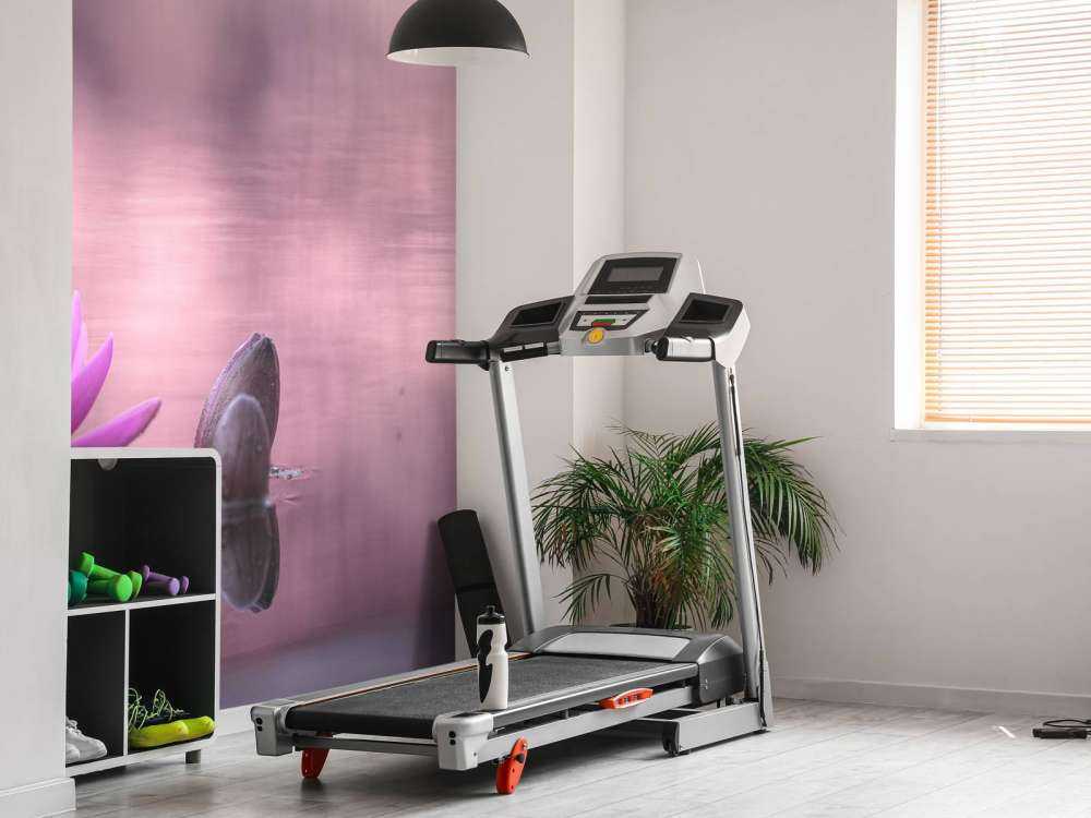 Fleur de lotus dans un étang