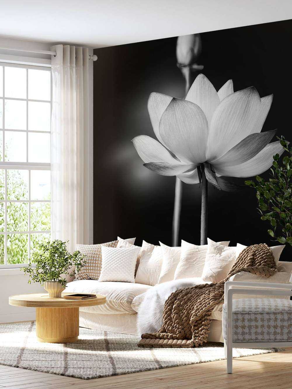Fleurs de lotus en noir et blanc
