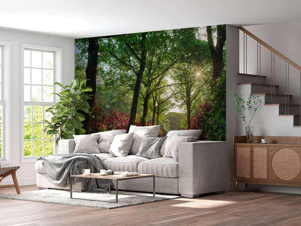 Lever de soleil sur le chemin avec des rhododendrons