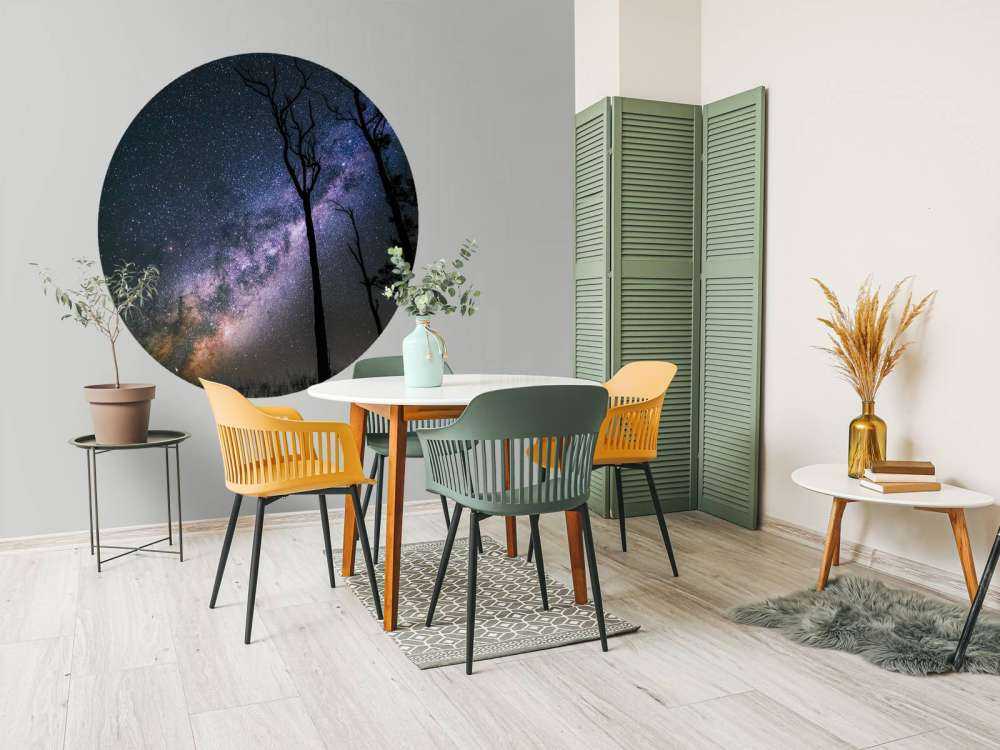 Des étoiles entre les arbres