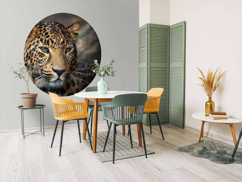 Gros plan d'une tête de léopard