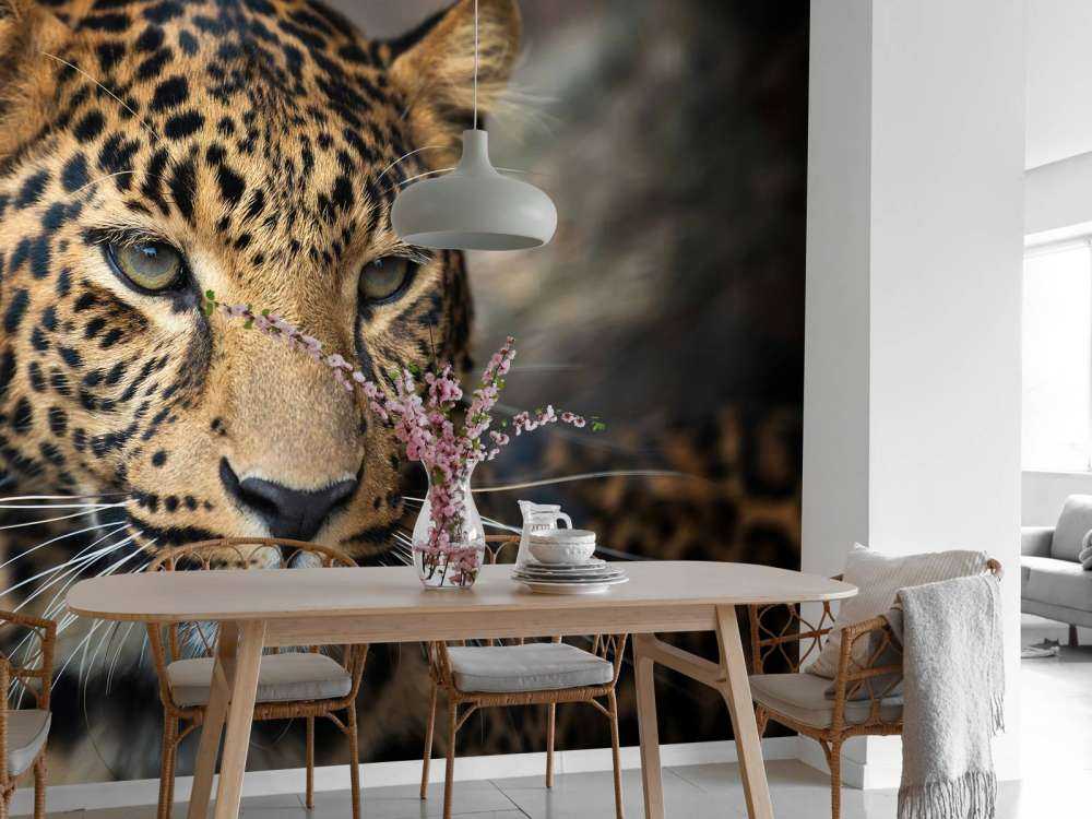 Gros plan d'une tête de léopard