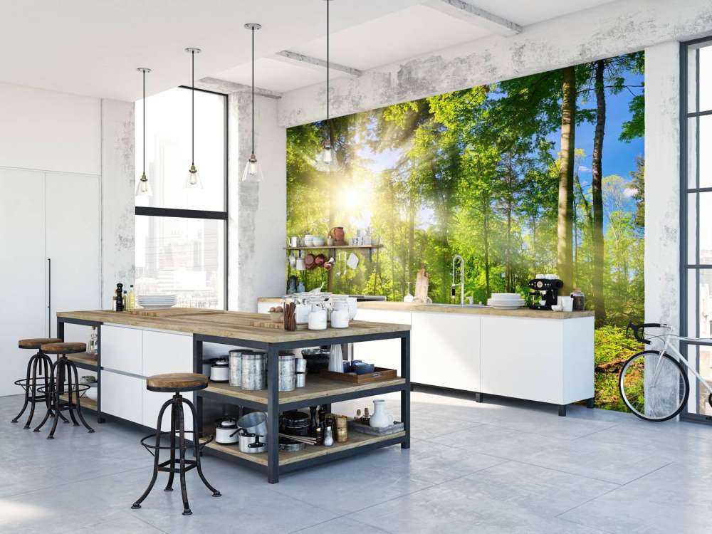 Une forêt avec des rayons de soleil