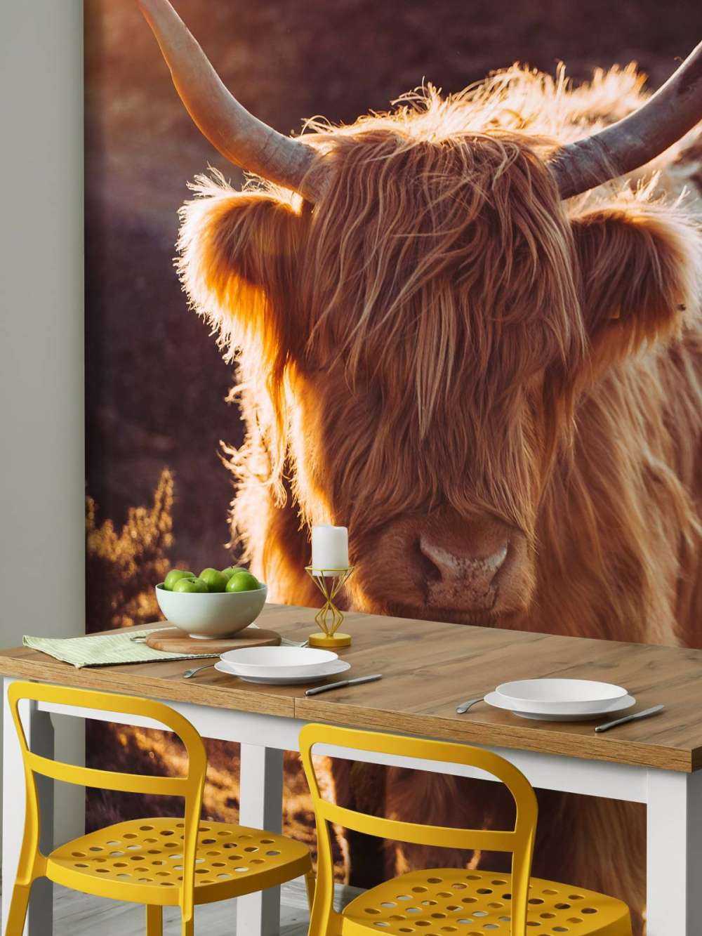 Le Highland écossais au soleil