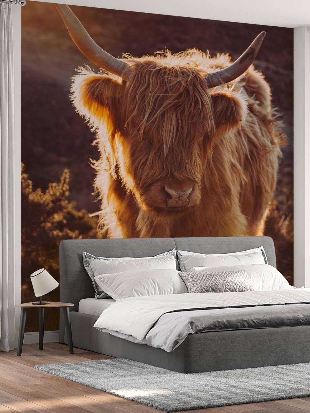 Le Highland écossais au soleil