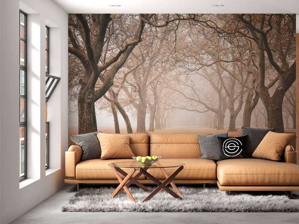Rangée de vieux arbres