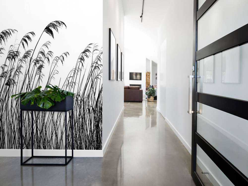 Roseau au bord de l'eau en noir et blanc