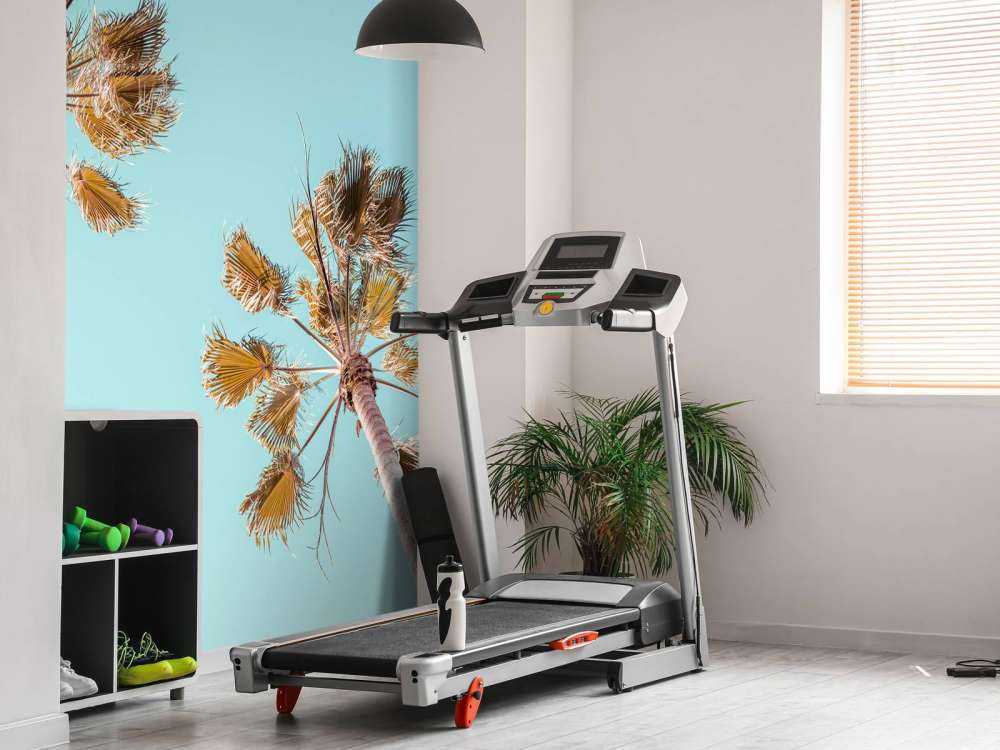 Palmiers avec ciel bleu