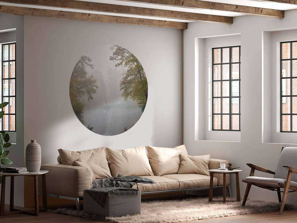 Étang de forêt dans la brume