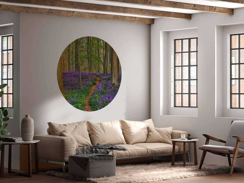 Joli chemin à travers la forêt