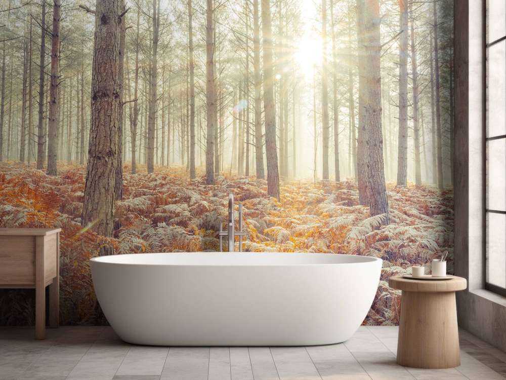 Rayons de soleil à travers des arbres froids