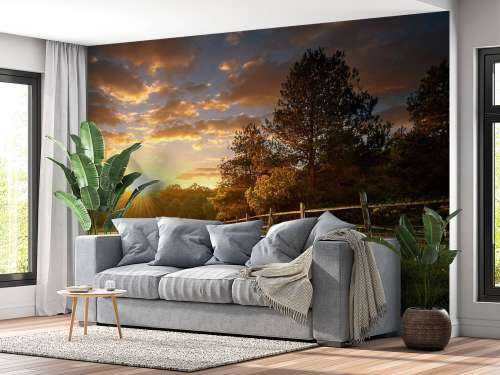 Pâturage au coucher du soleil