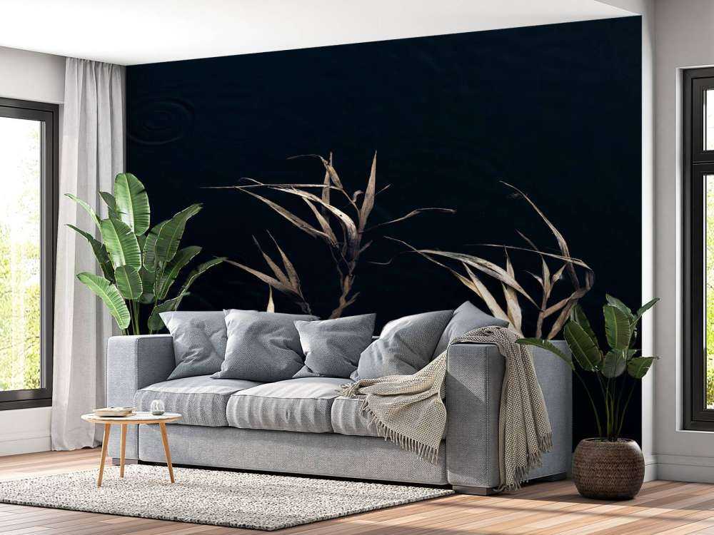 Riet dans l'eau calme