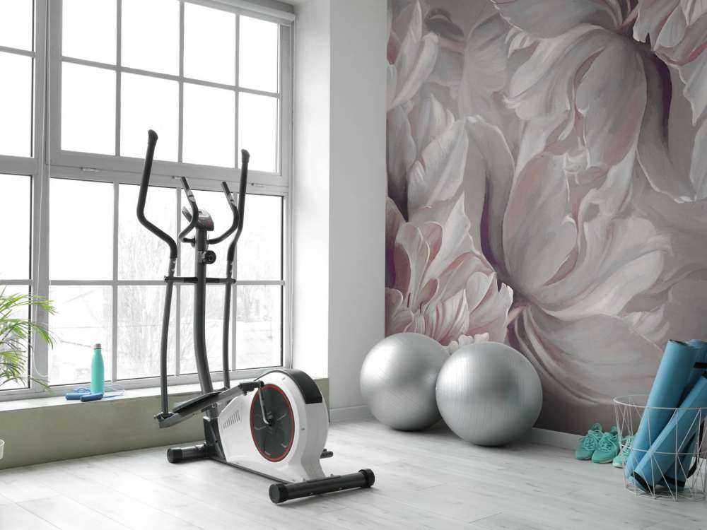 Grandes tulipes grises