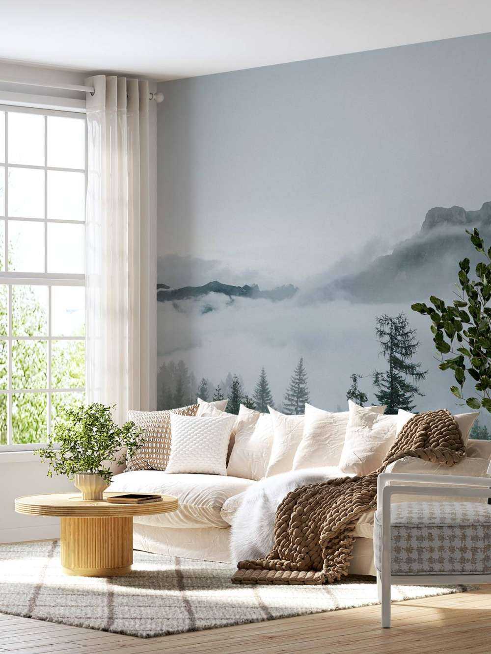 Brume matinale sur la forêt