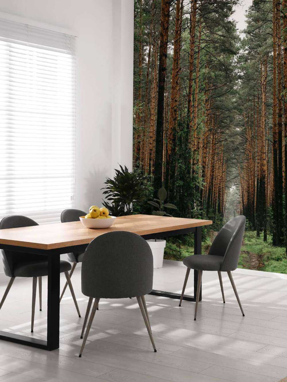 Symétrie de la Forêt