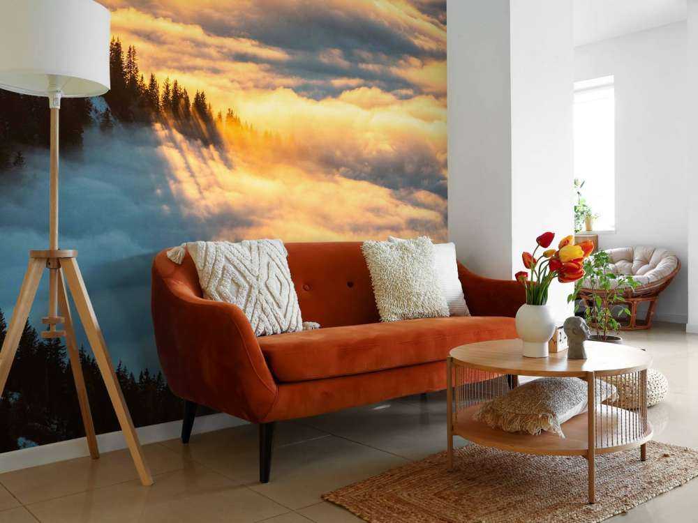 Lumière du soleil sur une forêt de montagne enneigée