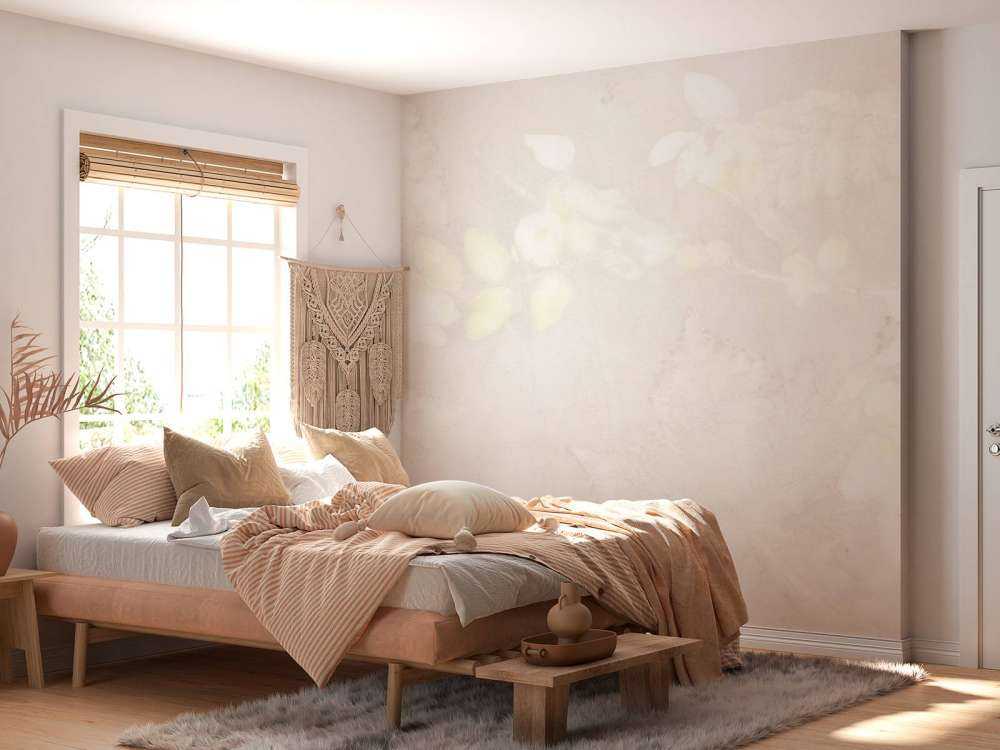 Sureau et ronce - jeu d'ombre