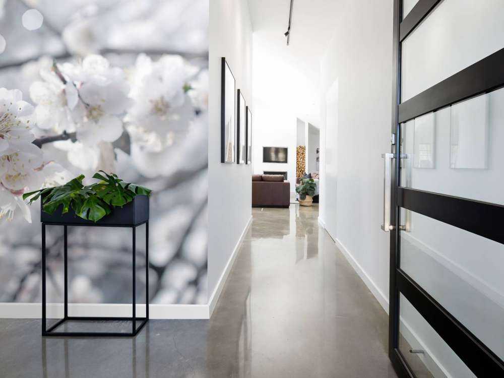 Papillon et fleurs blanches