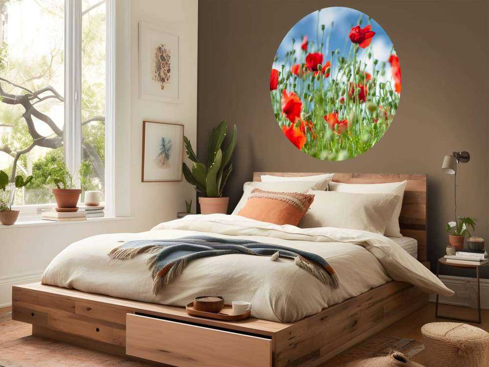 Champ avec des coquelicots