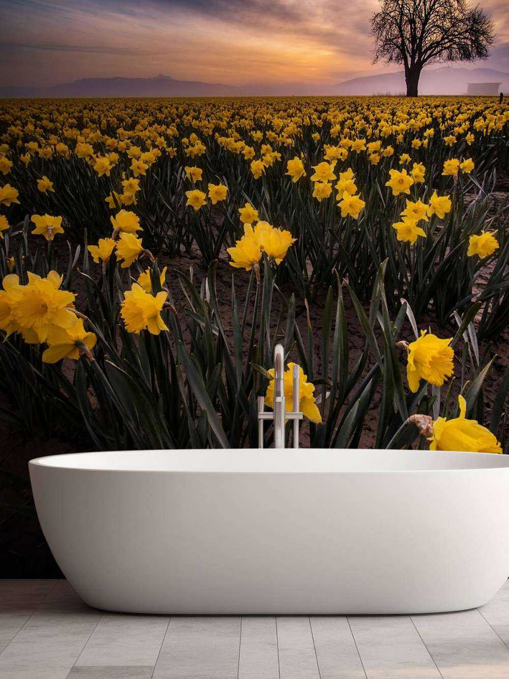 Champ avec jonquilles