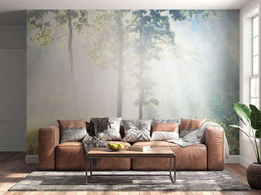 Une forêt mystérieuse