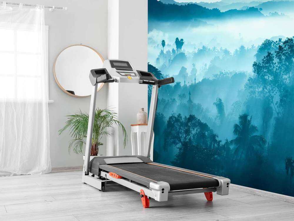 Un paysage magnifique