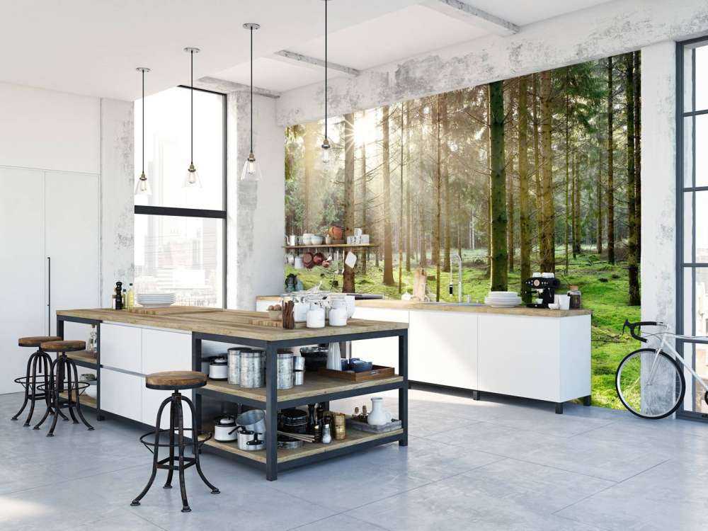 Forêt de conifères avec mousse