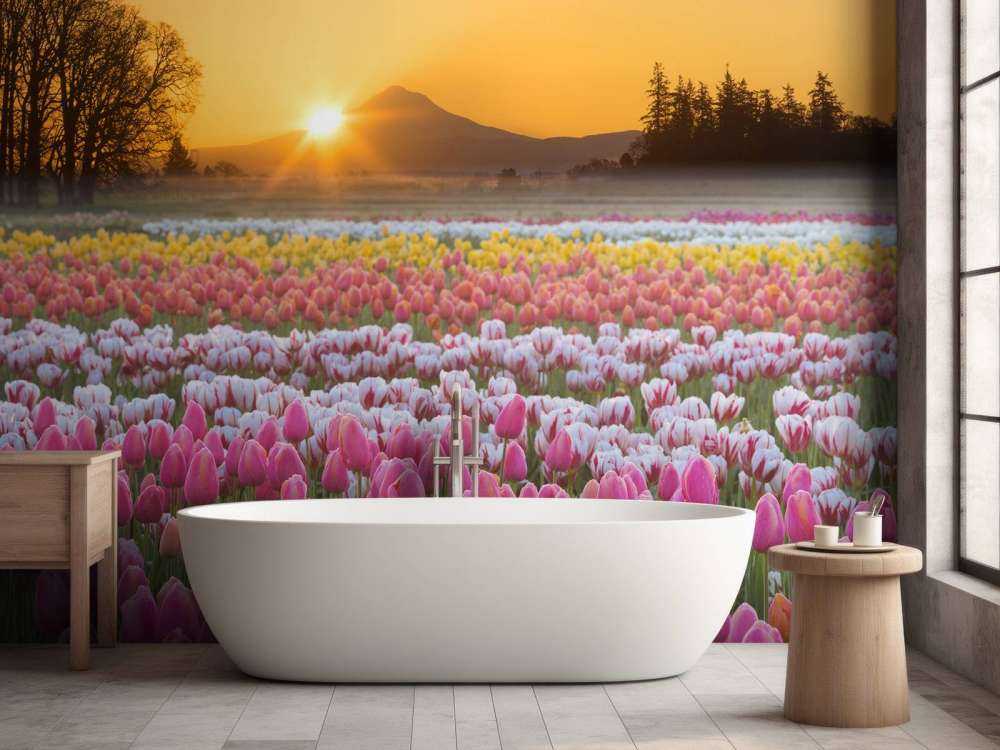 Champ de tulipes coloré