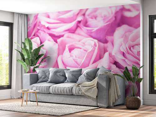 Plusieurs roses roses