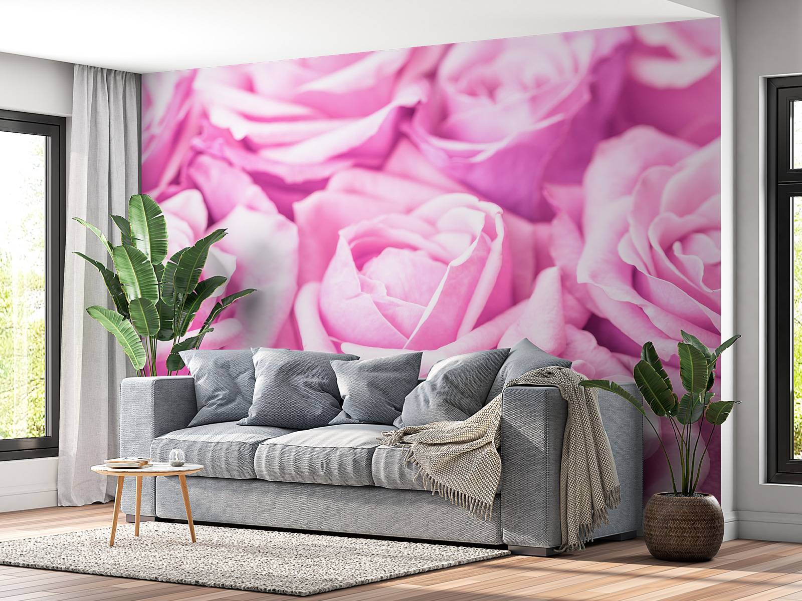Plusieurs roses roses