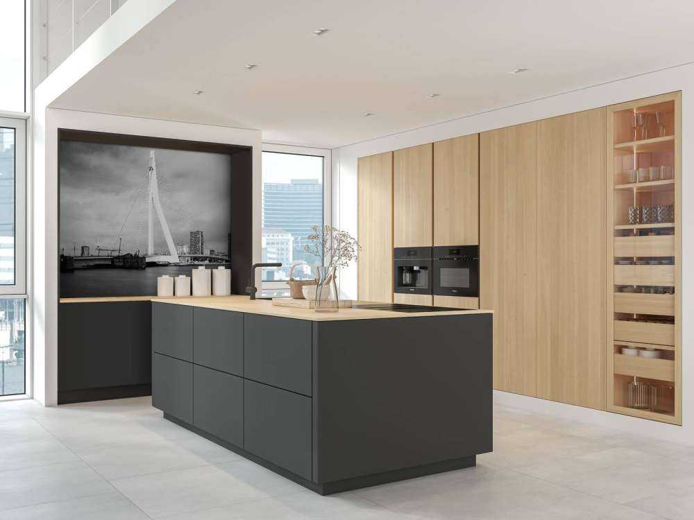 Pont Erasmus Rotterdam