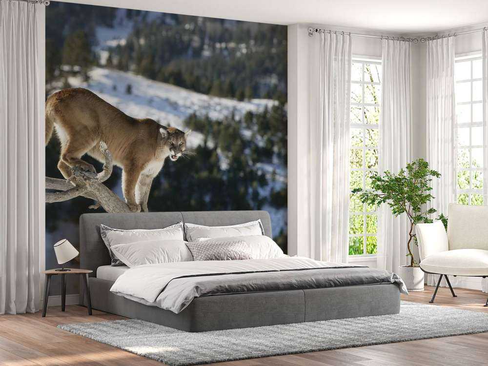 Lion de montagne sur un arbre mort