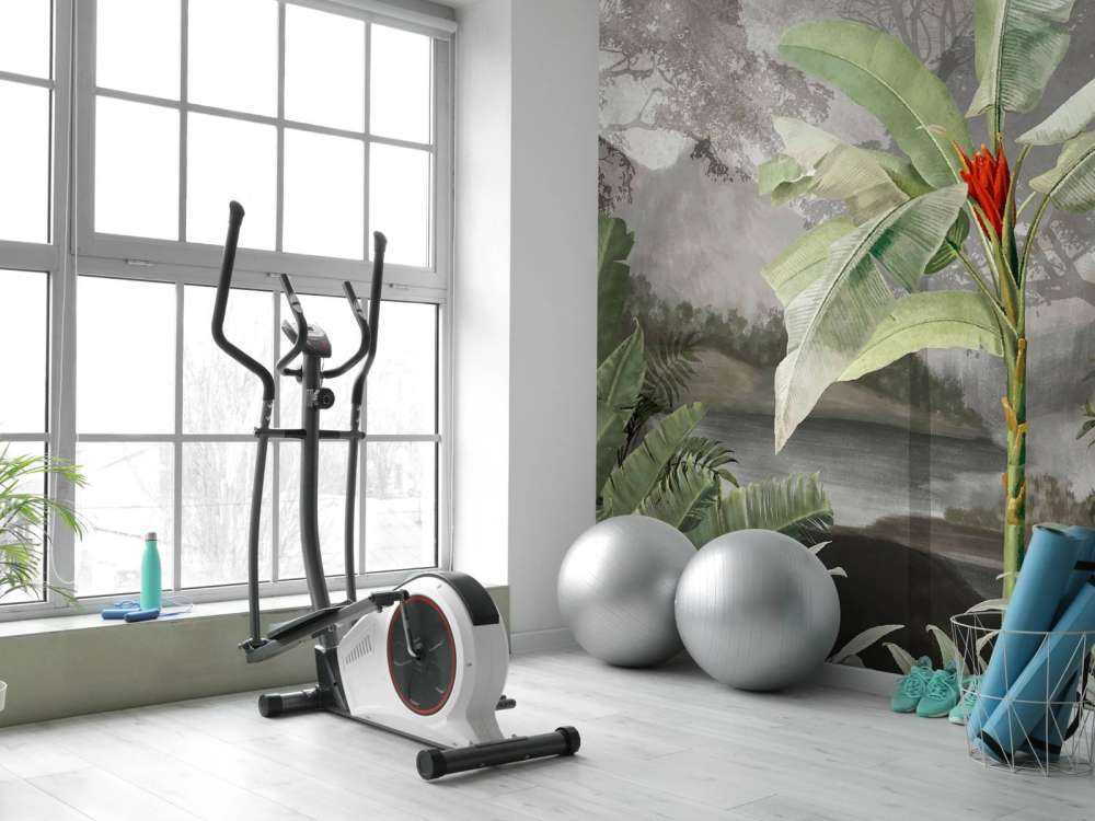 Arbres sous les tropiques