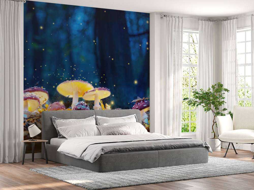 Mystérieuses amanites tue-mouches