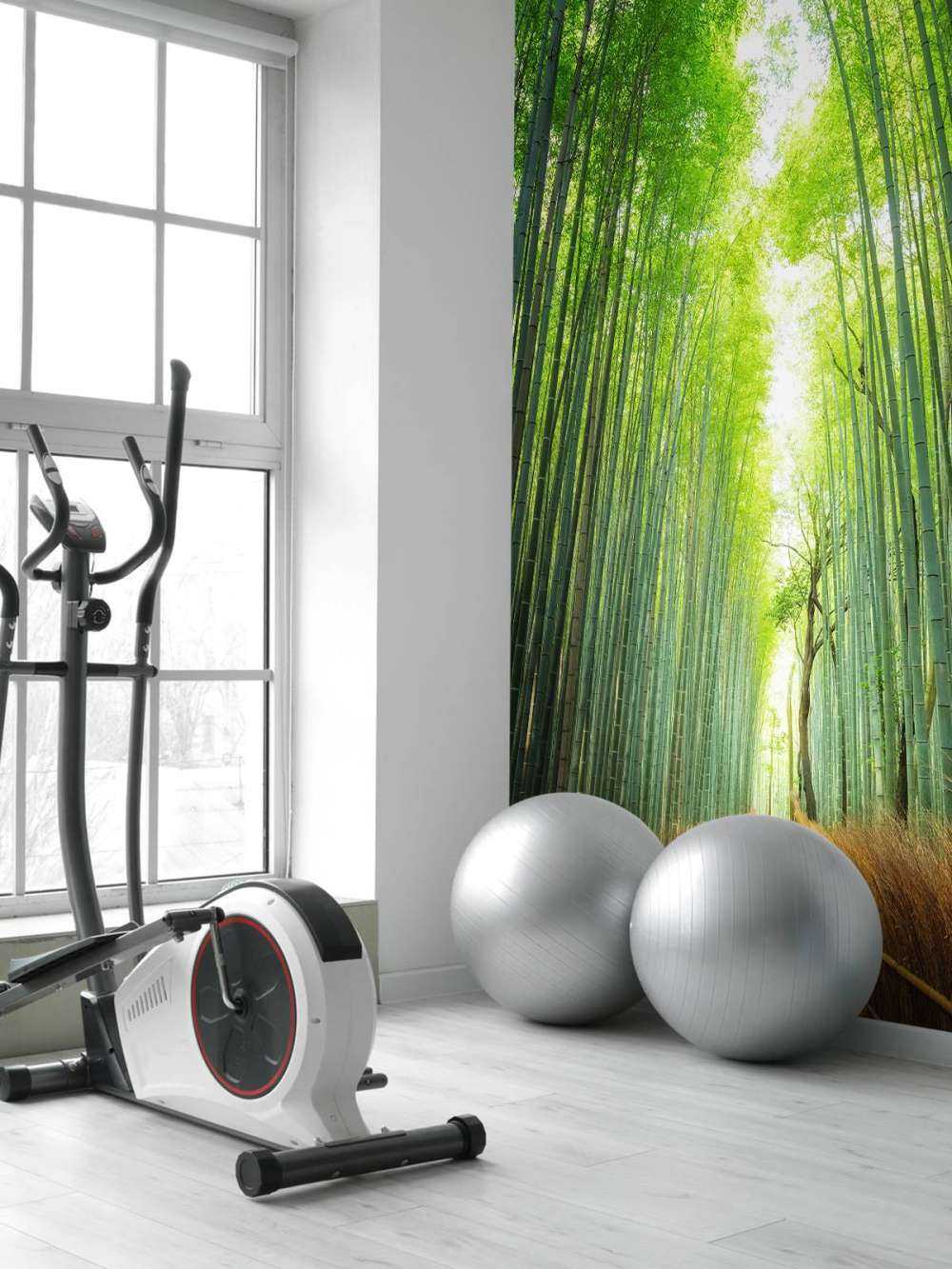 Sentier à travers le bambou