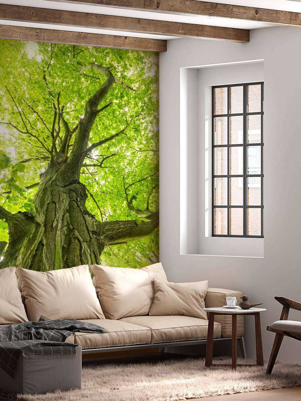 Grand arbre dans la forêt