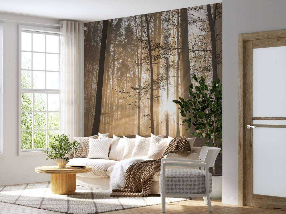 Soleil dans une forêt brumeuse