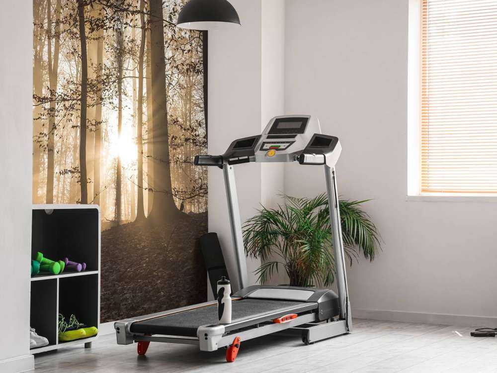 Soleil dans une forêt brumeuse