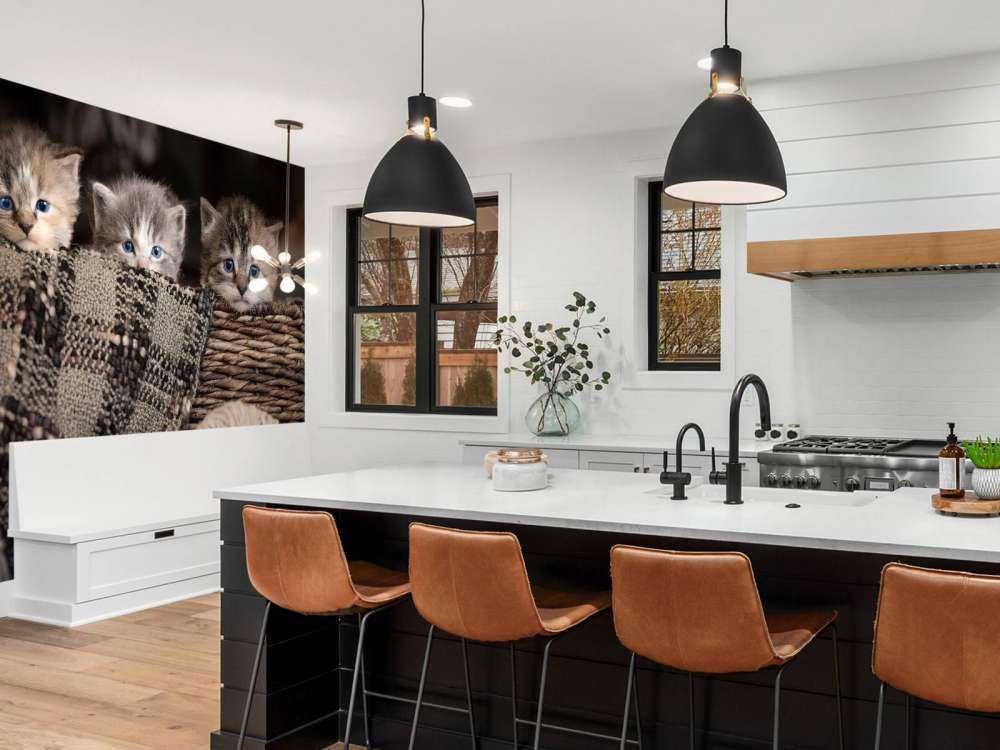 Trois chatons dans un panier